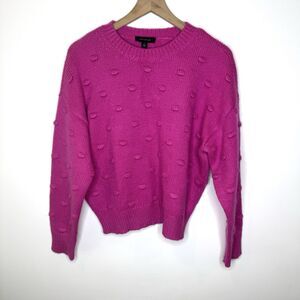 Ann Taylor NWT Pink Popcorn Knit Sweater Size XL
